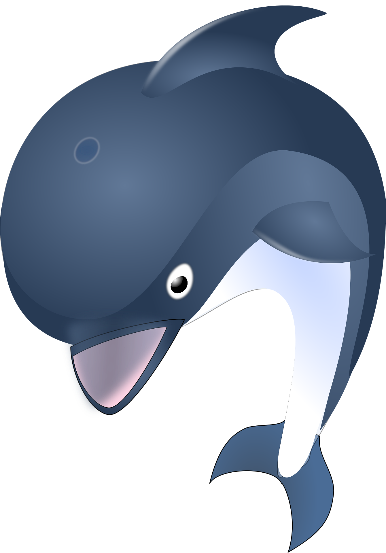 Delfin 1